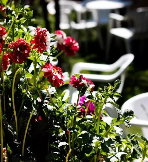 Hotelli Rural El Paraiso De Gredos