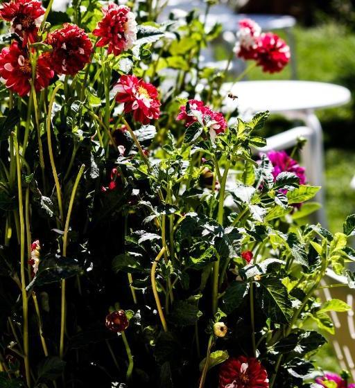 ホテル Rural El Paraiso De Gredos