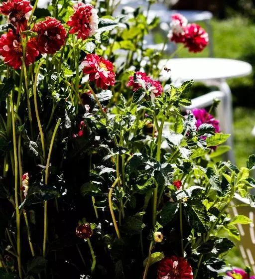 Hotelli Rural El Paraiso De Gredos