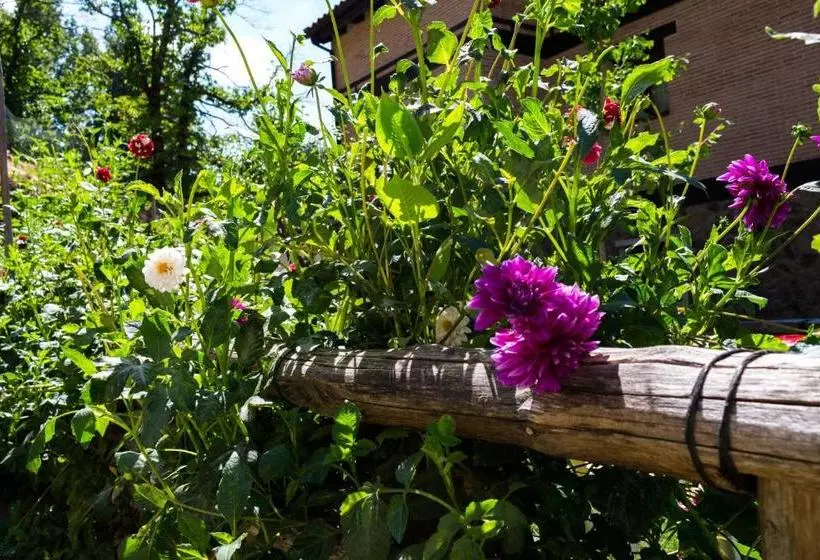 Hotelli Rural El Paraiso De Gredos