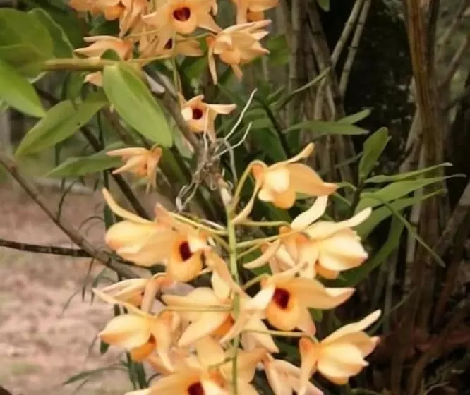 Lomakeskus Crookneck Retreat