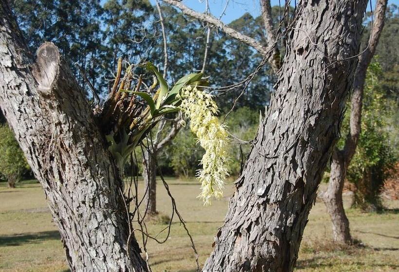 渡假胜地 Crookneck Retreat