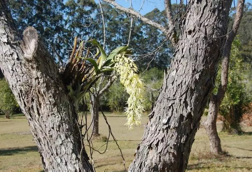 Lomakeskus Crookneck Retreat