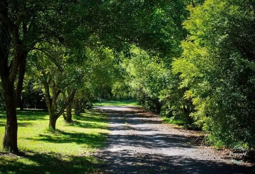 Lomakeskus Crookneck Retreat