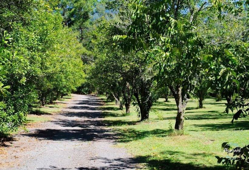 渡假胜地 Crookneck Retreat