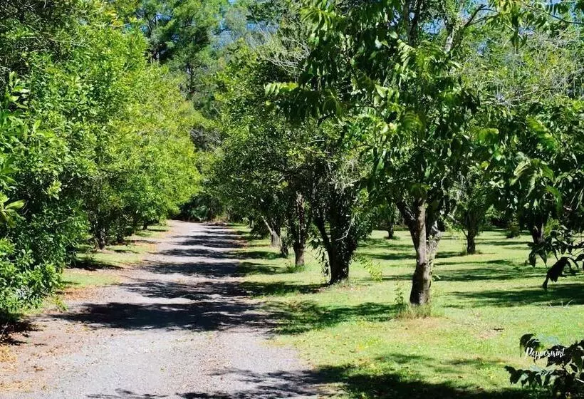 Lomakeskus Crookneck Retreat