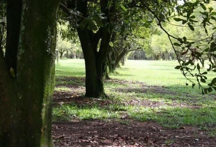 渡假胜地 Crookneck Retreat