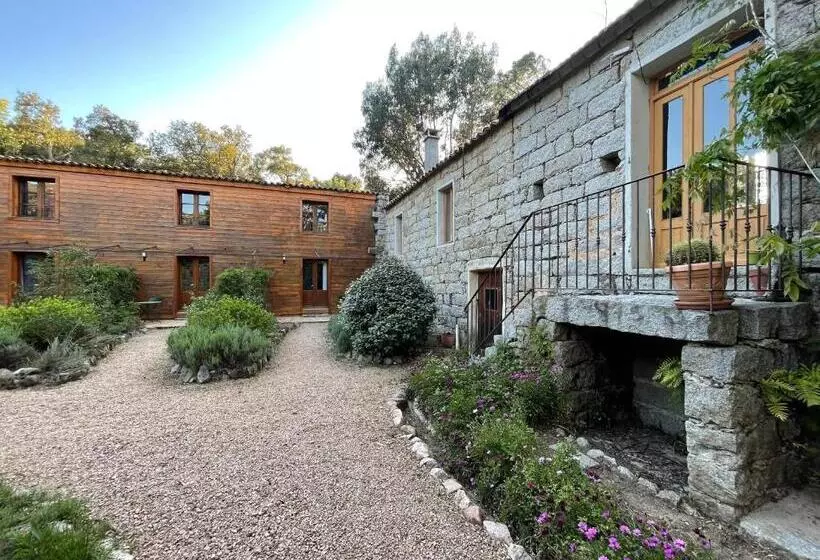 تختخواب و صبحانه Chambres D Hôtes Barraconu