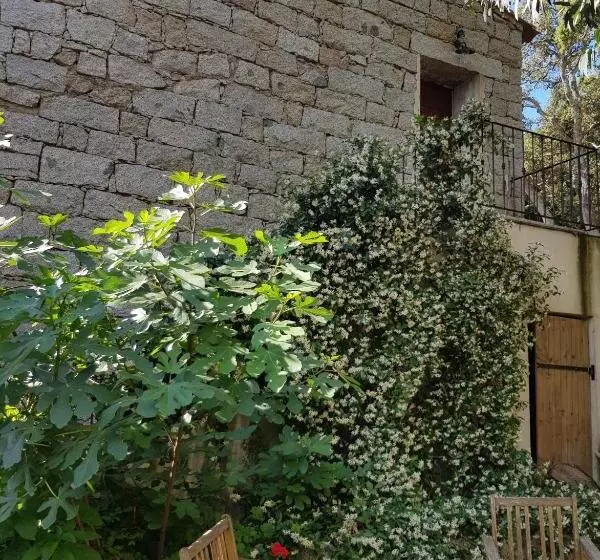 تختخواب و صبحانه Chambres D Hôtes Barraconu