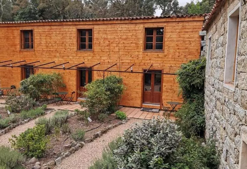 تختخواب و صبحانه Chambres D Hôtes Barraconu