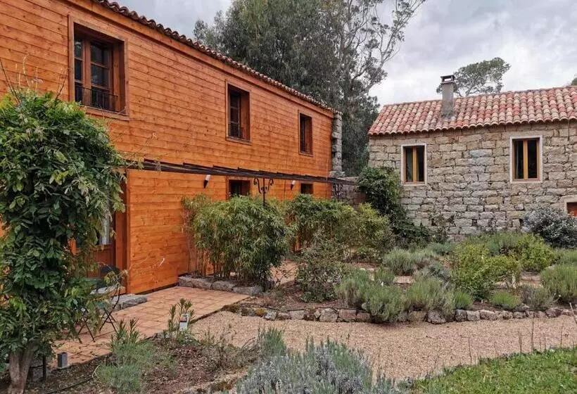 تختخواب و صبحانه Chambres D Hôtes Barraconu