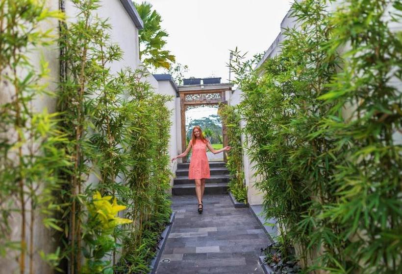 Fotos del hotel Amatara Abirama Villas:  5