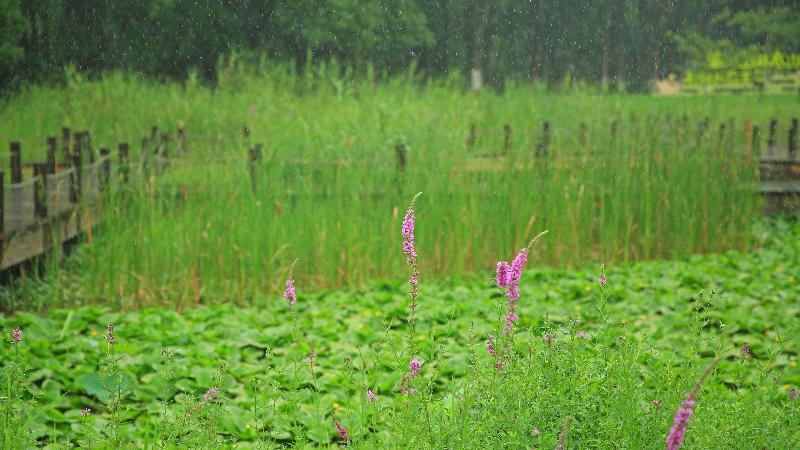 Hotel Holiday Inn Kunshan Huaqiao, An Ihg