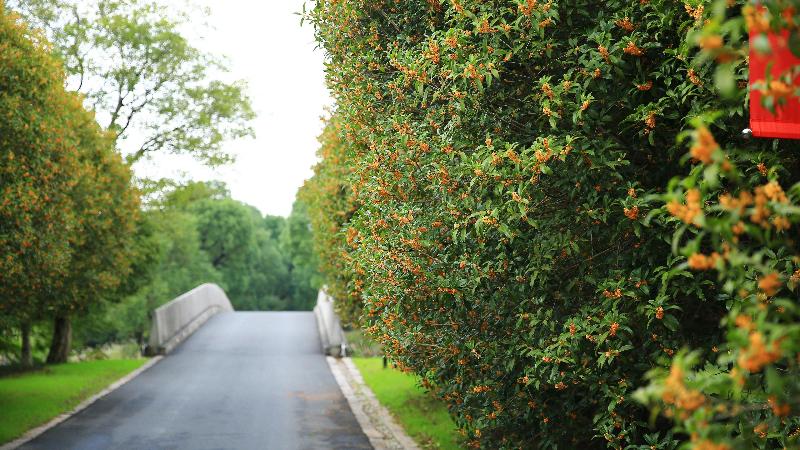 Hotel Holiday Inn Kunshan Huaqiao, An Ihg