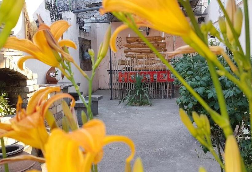 هاستل Lovely Goris