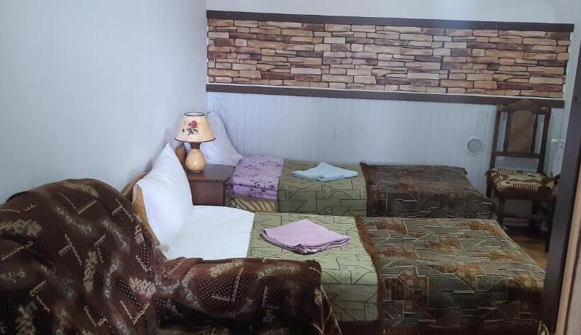 هاستل Lovely Goris