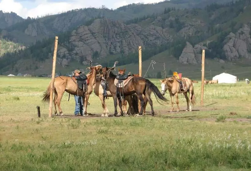 هاستل Ub Guesthouse & Tours