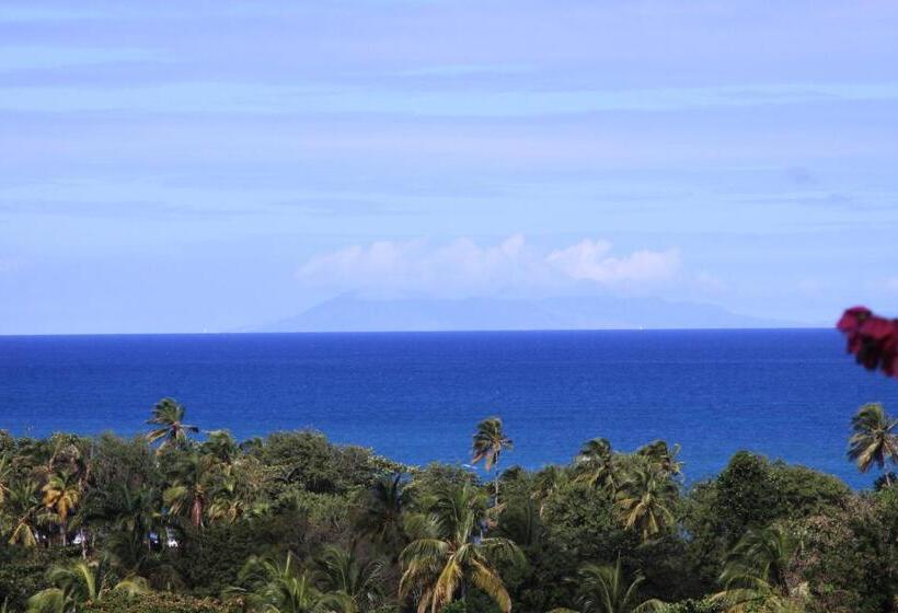 تختخواب و صبحانه Ali Naïs Location