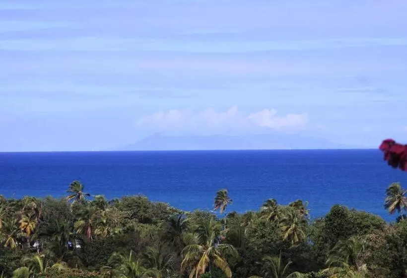 تختخواب و صبحانه Ali Naïs Location