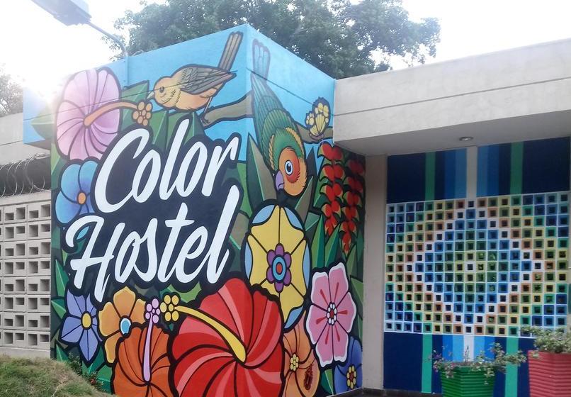 Color Hostel Palomino