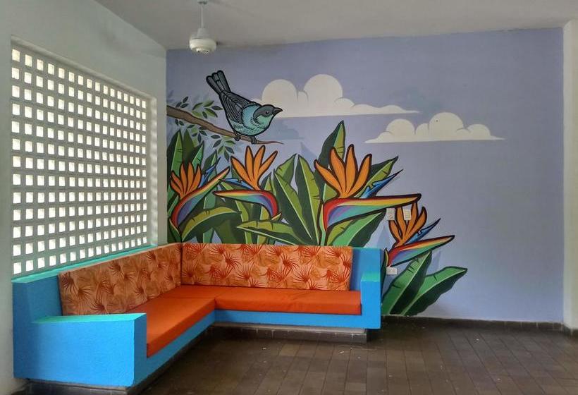 Color Hostel Palomino