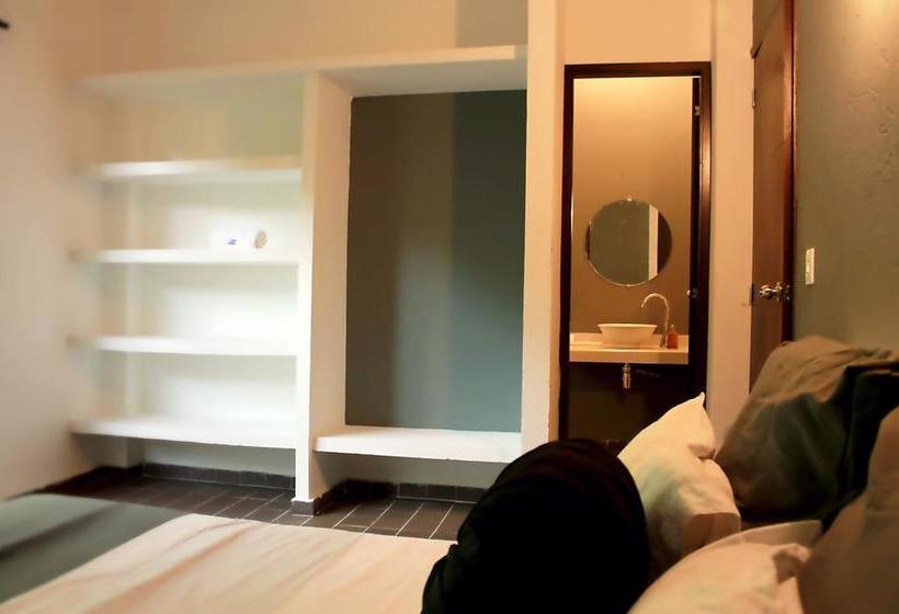 Color Hostel Palomino