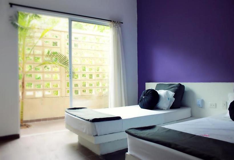 Color Hostel Palomino