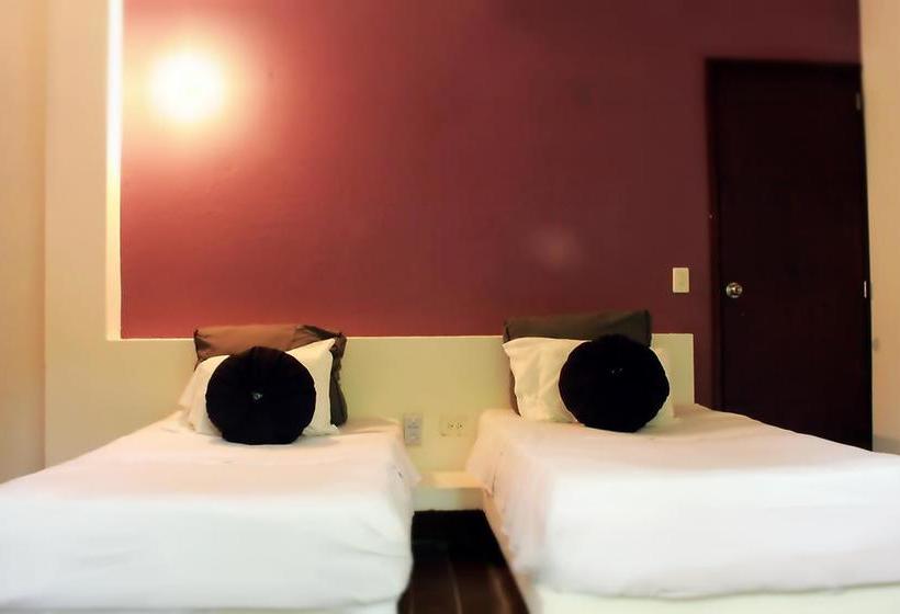 Color Hostel Palomino