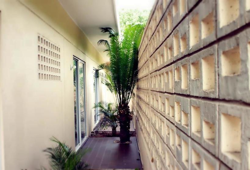 Color Hostel Palomino