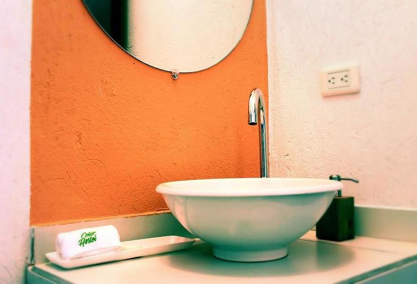 Color Hostel Palomino