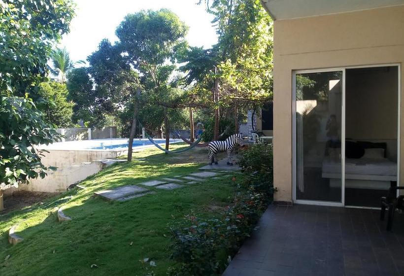 Color Hostel Palomino