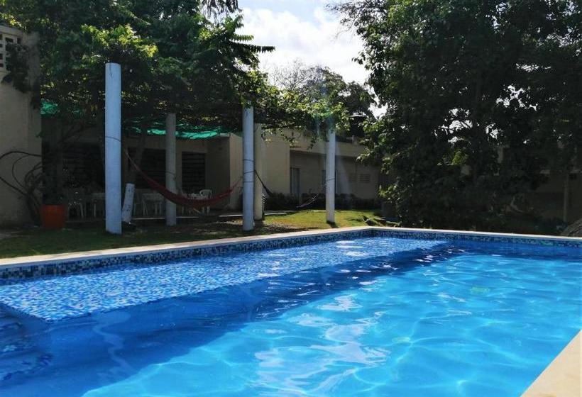 Color Hostel Palomino