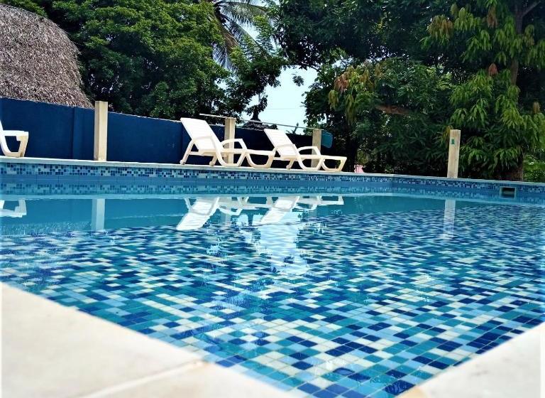 Color Hostel Palomino