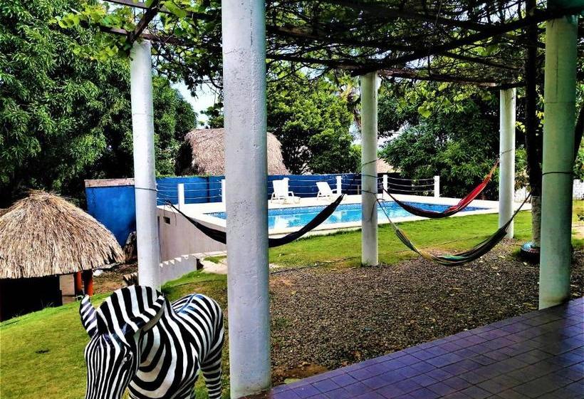 Color Hostel Palomino