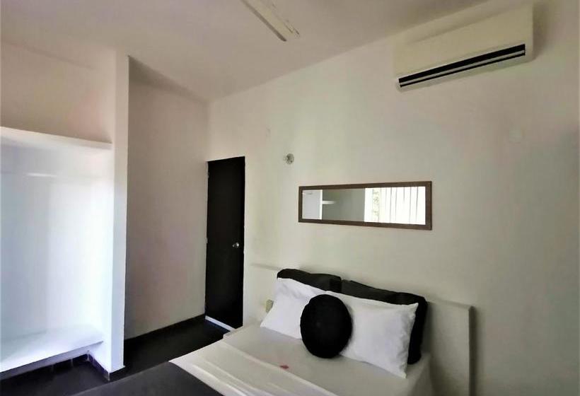 Color Hostel Palomino