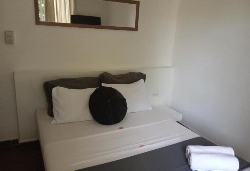 Color Hostel Palomino