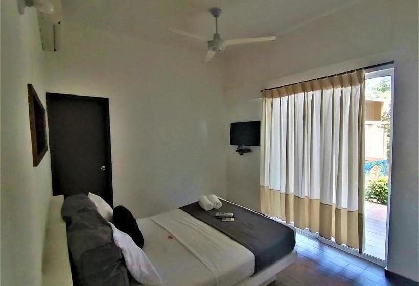 Color Hostel Palomino