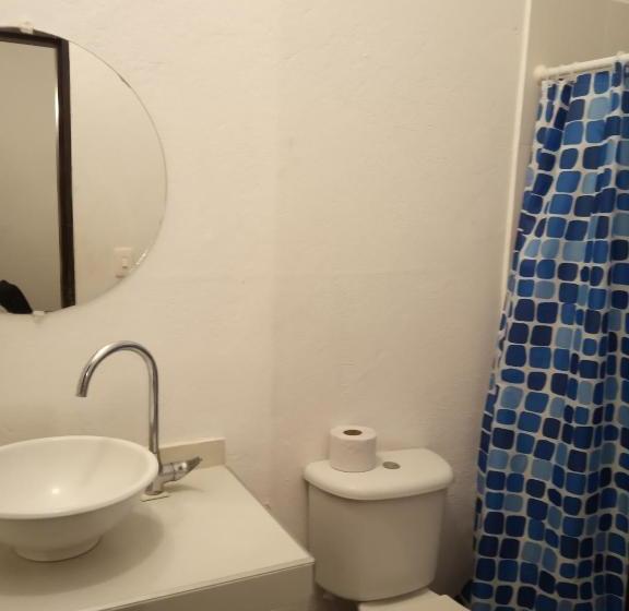 Color Hostel Palomino