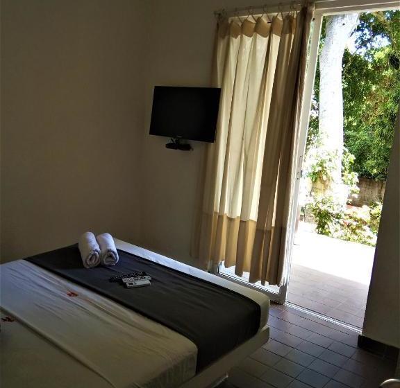 Color Hostel Palomino