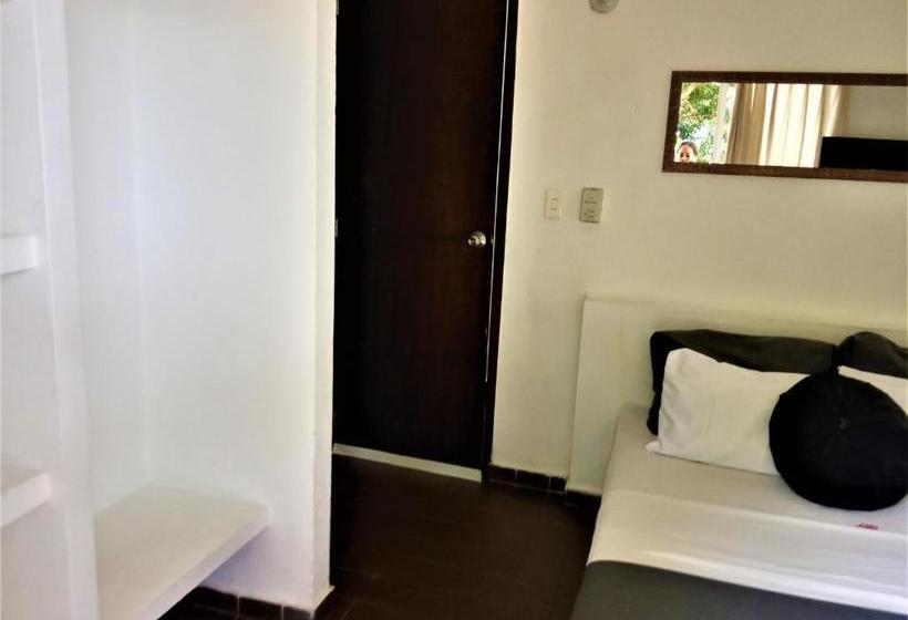 Color Hostel Palomino