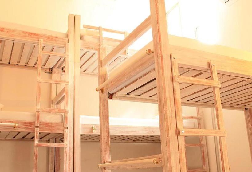 Color Hostel Palomino