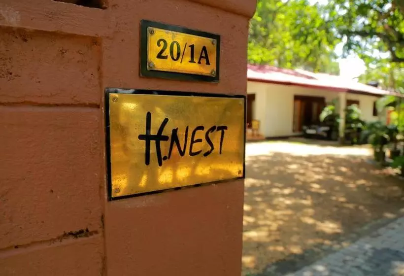 Holiday Nest Bed & Breakfast