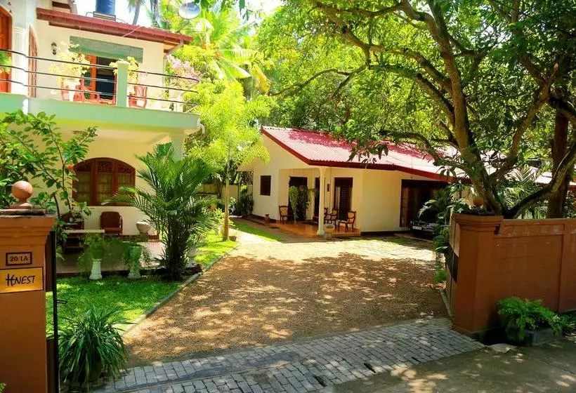 Holiday Nest Bed & Breakfast