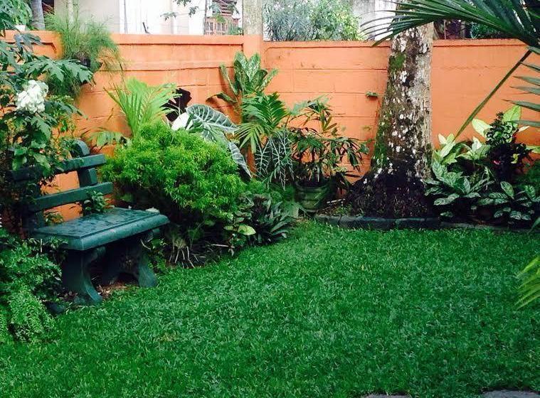 Holiday Nest Bed & Breakfast