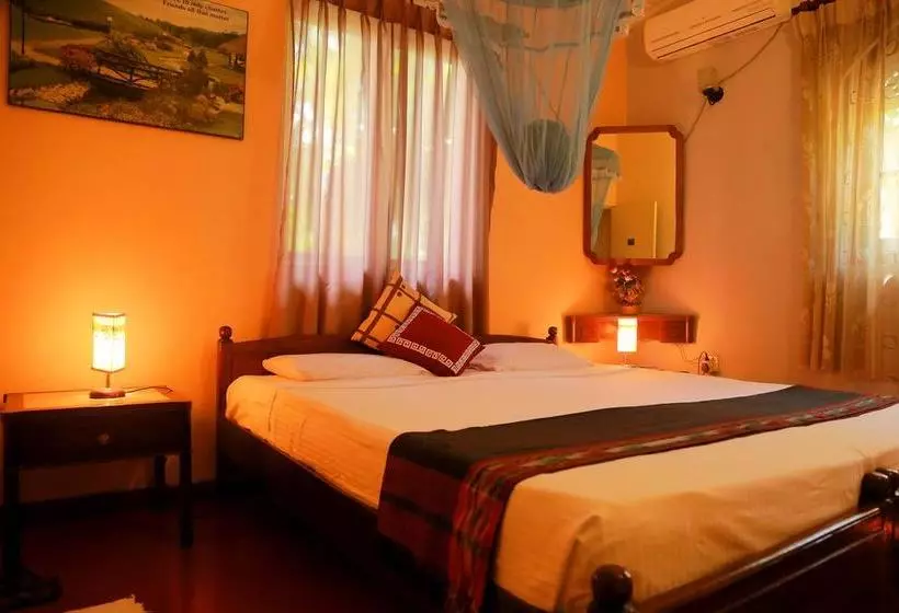 Holiday Nest Bed & Breakfast