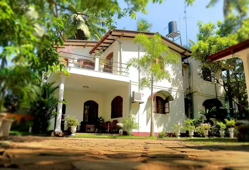 Holiday Nest Bed & Breakfast