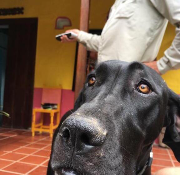 בית מלון כפרי Casa Finca Típica The Lake