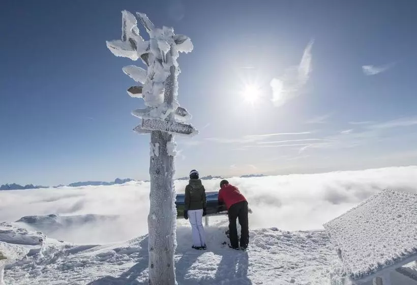 Hotelli Gasthof Höllriegl