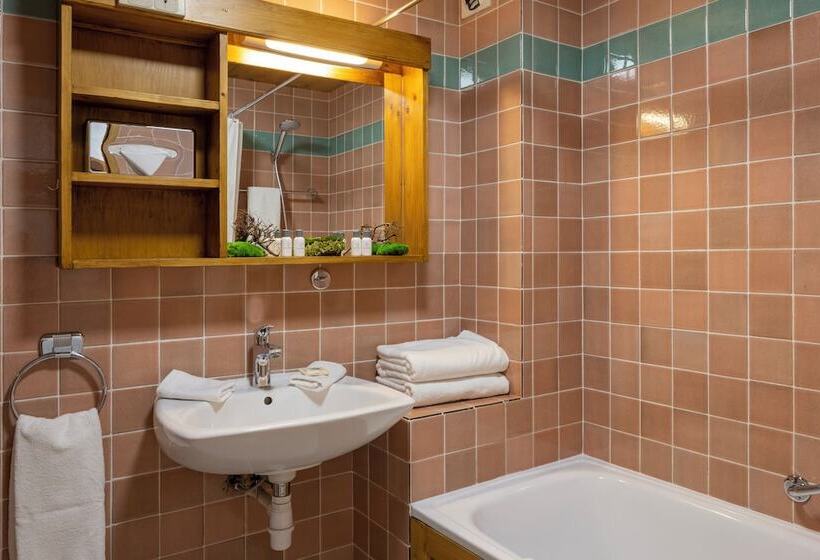 בית מלון כפרי Hôtel Courcheneige