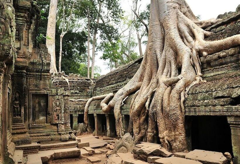 ホテル Ibis Styles Siem Reap